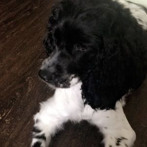 Meet your Posher, Marles